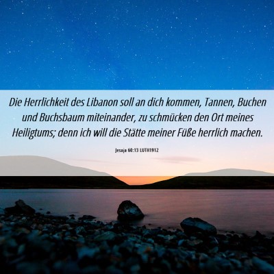 Picture 06 - Jesaja 60:13 LUTH1912 - Die Herrlichkeit des Libanon soll an dich kommen, - Bible Verse Picture