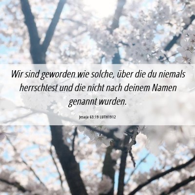 Picture 06 - Jesaja 63:19 LUTH1912 - Wir sind geworden wie solche, über die du - Bible Verse Picture