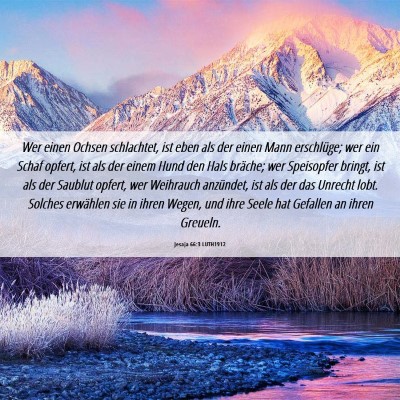Picture 06 - Jesaja 66:3 LUTH1912 - Wer einen Ochsen schlachtet, ist eben als der - Bible Verse Picture