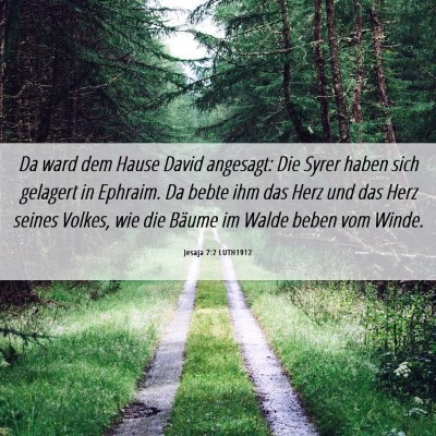 Picture 06 - Jesaja 7:2 LUTH1912 - Da ward dem Hause David angesagt: Die Syrer haben - Bible Verse Picture