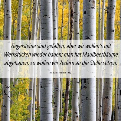 Picture 06 - Jesaja 9:10 LUTH1912 - Ziegelsteine sind gefallen, aber wir wollen's mit - Bible Verse Picture