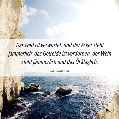 Picture 06 - Joel 1:10 LUTH1912 - Das Feld ist verwüstet, und der Acker steht - Bible Verse Picture