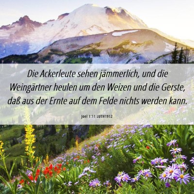 Picture 06 - Joel 1:11 LUTH1912 - Die Ackerleute sehen jämmerlich, und die - Bible Verse Picture