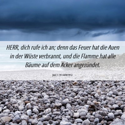 Picture 06 - Joel 1:19 LUTH1912 - HERR, dich rufe ich an; denn das Feuer hat die - Bible Verse Picture