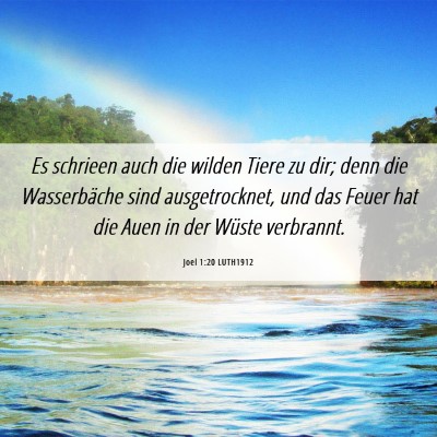 Picture 06 - Joel 1:20 LUTH1912 - Es schrieen auch die wilden Tiere zu dir; denn - Bible Verse Picture