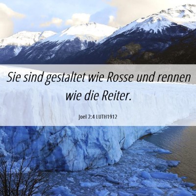 Picture 06 - Joel 2:4 LUTH1912 - Sie sind gestaltet wie Rosse und rennen wie die - Bible Verse Picture