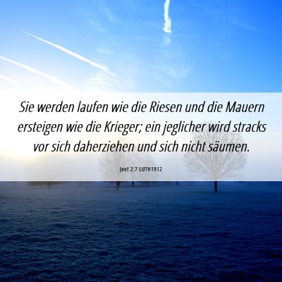 Picture 06 - Joel 2:7 LUTH1912 - Sie werden laufen wie die Riesen und die Mauern - Bible Verse Picture