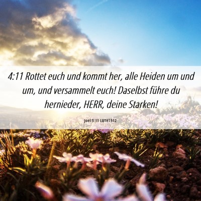Picture 06 - Joel 3:11 LUTH1912 - 4:11 Rottet euch und kommt her, alle Heiden um - Bible Verse Picture