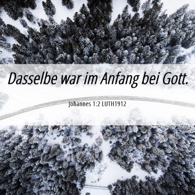 Picture 06 - Johannes 1:2 LUTH1912 - Dasselbe war im Anfang bei - Bible Verse Picture