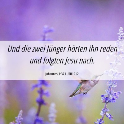 Picture 06 - Johannes 1:37 LUTH1912 - Und die zwei Jünger hörten ihn reden und - Bible Verse Picture