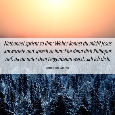 Picture 06 - Johannes 1:48 LUTH1912 - Nathanael spricht zu ihm: Woher kennst du mich? - Bible Verse Picture