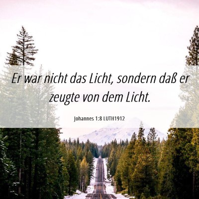 Picture 06 - Johannes 1:8 LUTH1912 - Er war nicht das Licht, sondern daß er zeugte - Bible Verse Picture