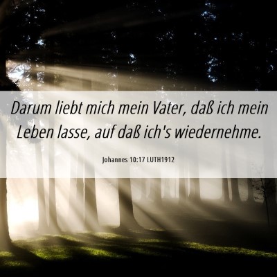 Picture 06 - Johannes 10:17 LUTH1912 - Darum liebt mich mein Vater, daß ich mein Leben - Bible Verse Picture