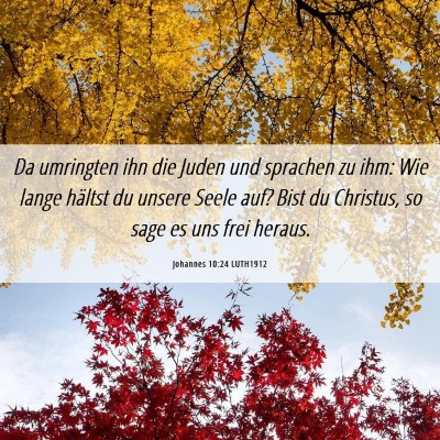 Picture 06 - Johannes 10:24 LUTH1912 - Da umringten ihn die Juden und sprachen zu ihm: - Bible Verse Picture