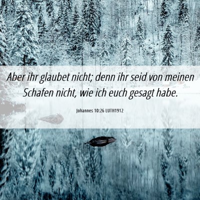 Picture 06 - Johannes 10:26 LUTH1912 - Aber ihr glaubet nicht; denn ihr seid von meinen - Bible Verse Picture