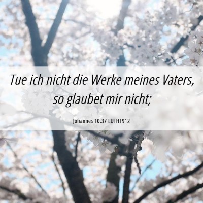Picture 06 - Johannes 10:37 LUTH1912 - Tue ich nicht die Werke meines Vaters, so glaubet - Bible Verse Picture