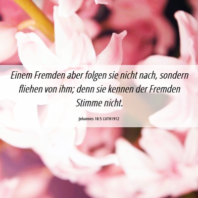 Picture 06 - Johannes 10:5 LUTH1912 - Einem Fremden aber folgen sie nicht nach, sondern - Bible Verse Picture
