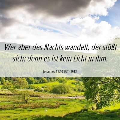 Picture 06 - Johannes 11:10 LUTH1912 - Wer aber des Nachts wandelt, der stößt sich; - Bible Verse Picture