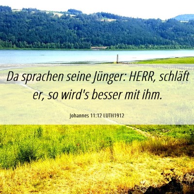 Picture 06 - Johannes 11:12 LUTH1912 - Da sprachen seine Jünger: HERR, schläft er, so - Bible Verse Picture