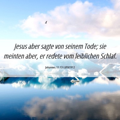 Picture 06 - Johannes 11:13 LUTH1912 - Jesus aber sagte von seinem Tode; sie meinten - Bible Verse Picture