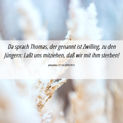 Picture 06 - Johannes 11:16 LUTH1912 - Da sprach Thomas, der genannt ist Zwilling, zu - Bible Verse Picture