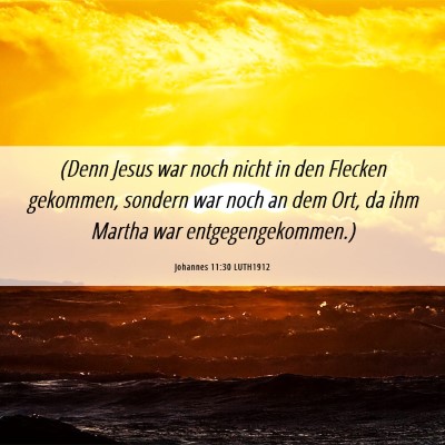 Picture 06 - Johannes 11:30 LUTH1912 - (Denn Jesus war noch nicht in den Flecken - Bible Verse Picture