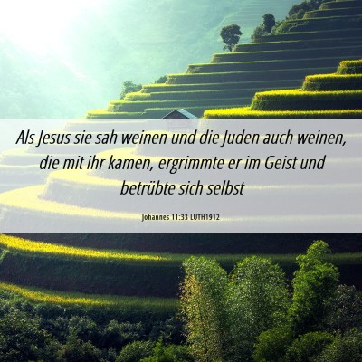 Picture 06 - Johannes 11:33 LUTH1912 - Als Jesus sie sah weinen und die Juden auch - Bible Verse Picture