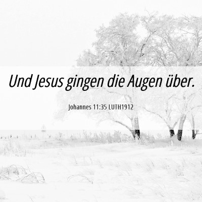 Picture 06 - Johannes 11:35 LUTH1912 - Und Jesus gingen die Augen - Bible Verse Picture