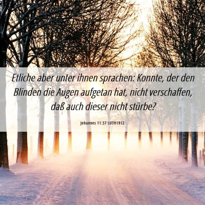Picture 06 - Johannes 11:37 LUTH1912 - Etliche aber unter ihnen sprachen: Konnte, der - Bible Verse Picture