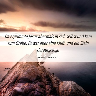 Picture 06 - Johannes 11:38 LUTH1912 - Da ergrimmte Jesus abermals in sich selbst und - Bible Verse Picture