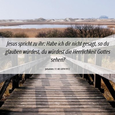Picture 06 - Johannes 11:40 LUTH1912 - Jesus spricht zu ihr: Habe ich dir nicht gesagt, - Bible Verse Picture