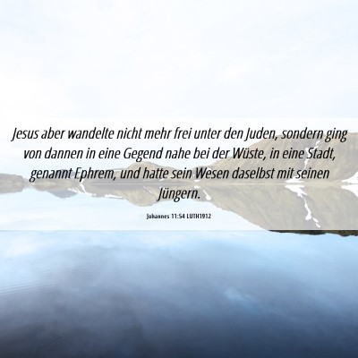 Picture 06 - Johannes 11:54 LUTH1912 - Jesus aber wandelte nicht mehr frei unter den - Bible Verse Picture