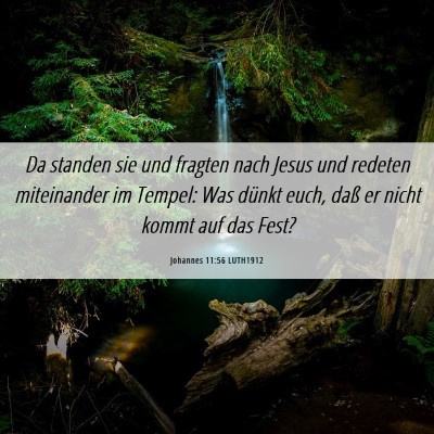 Picture 06 - Johannes 11:56 LUTH1912 - Da standen sie und fragten nach Jesus und redeten - Bible Verse Picture