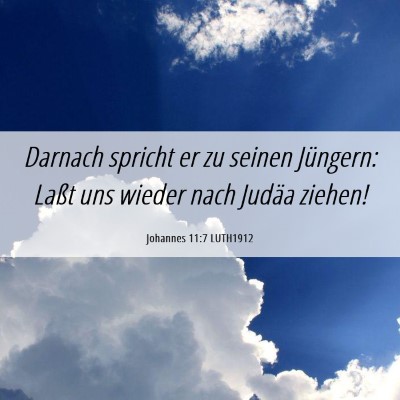 Picture 06 - Johannes 11:7 LUTH1912 - Darnach spricht er zu seinen Jüngern: Laßt uns - Bible Verse Picture