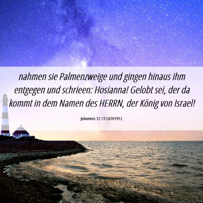 Picture 06 - Johannes 12:13 LUTH1912 - nahmen sie Palmenzweige und gingen hinaus ihm - Bible Verse Picture