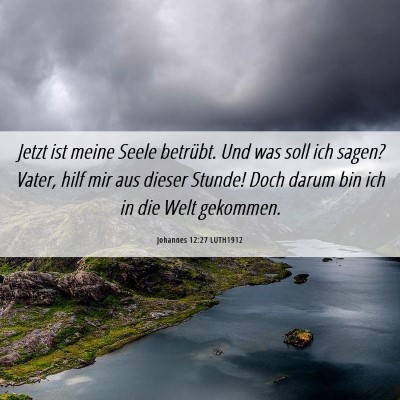 Picture 06 - Johannes 12:27 LUTH1912 - Jetzt ist meine Seele betrübt. Und was soll ich - Bible Verse Picture