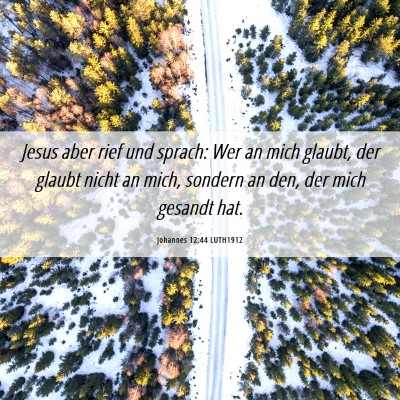 Picture 06 - Johannes 12:44 LUTH1912 - Jesus aber rief und sprach: Wer an mich glaubt, - Bible Verse Picture