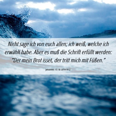 Picture 06 - Johannes 13:18 LUTH1912 - Nicht sage ich von euch allen; ich weiß, welche - Bible Verse Picture
