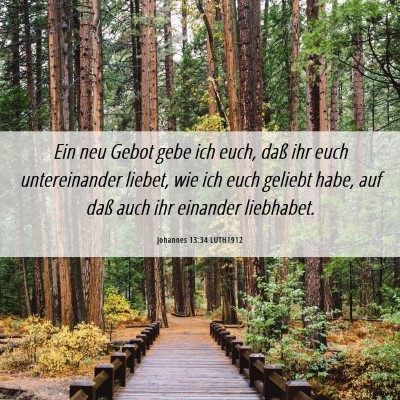 Picture 06 - Johannes 13:34 LUTH1912 - Ein neu Gebot gebe ich euch, daß ihr euch - Bible Verse Picture