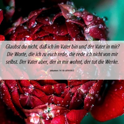 Picture 06 - Johannes 14:10 LUTH1912 - Glaubst du nicht, daß ich im Vater bin und der - Bible Verse Picture