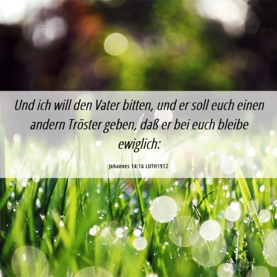 Picture 06 - Johannes 14:16 LUTH1912 - Und ich will den Vater bitten, und er soll euch - Bible Verse Picture