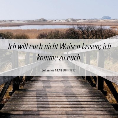Picture 06 - Johannes 14:18 LUTH1912 - Ich will euch nicht Waisen lassen; ich komme zu - Bible Verse Picture