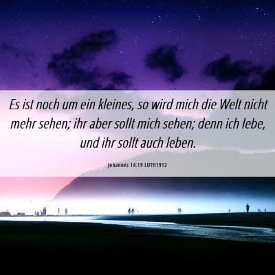 Picture 06 - Johannes 14:19 LUTH1912 - Es ist noch um ein kleines, so wird mich die Welt - Bible Verse Picture