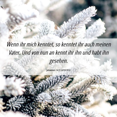 Picture 06 - Johannes 14:7 LUTH1912 - Wenn ihr mich kenntet, so kenntet ihr auch meinen - Bible Verse Picture