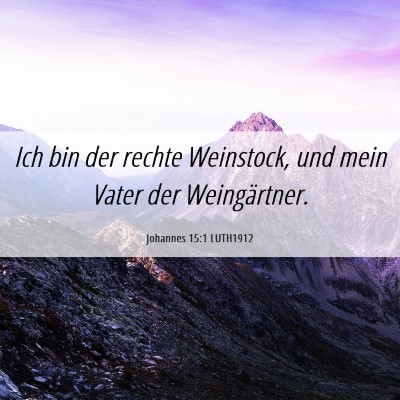 Picture 06 - Johannes 15:1 LUTH1912 - Ich bin der rechte Weinstock, und mein Vater der - Bible Verse Picture