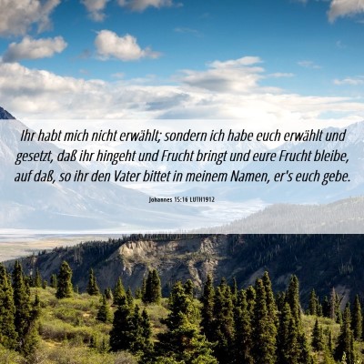 Picture 06 - Johannes 15:16 LUTH1912 - Ihr habt mich nicht erwählt; sondern ich habe - Bible Verse Picture