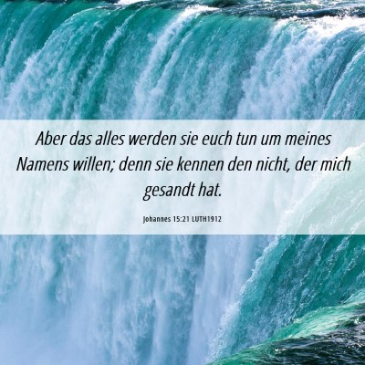 Picture 06 - Johannes 15:21 LUTH1912 - Aber das alles werden sie euch tun um meines - Bible Verse Picture
