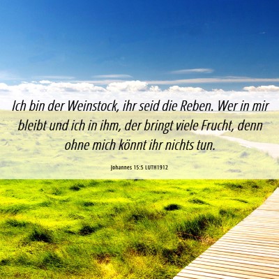 Picture 06 - Johannes 15:5 LUTH1912 - Ich bin der Weinstock, ihr seid die Reben. Wer in - Bible Verse Picture