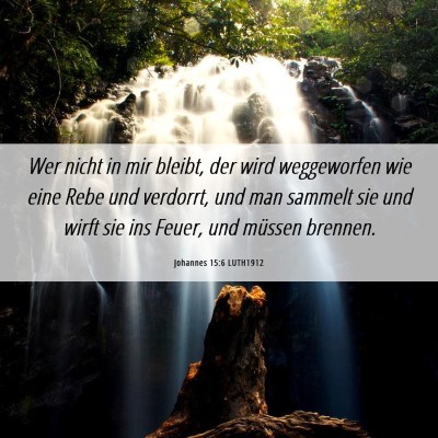 Picture 06 - Johannes 15:6 LUTH1912 - Wer nicht in mir bleibt, der wird weggeworfen wie - Bible Verse Picture