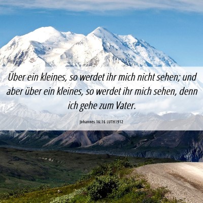 Picture 06 - Johannes 16:16 LUTH1912 - Über ein kleines, so werdet ihr mich nicht - Bible Verse Picture